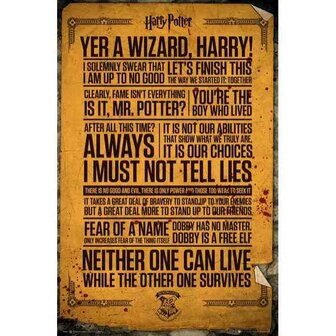 HARRY POTTER - Poster 61X91 - Quotes