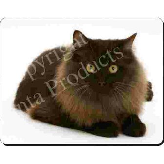 Langharige Bruine Poes   Muismat