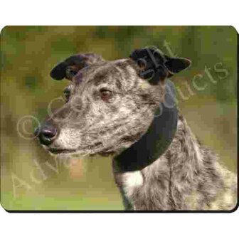 Greyhound Muismat