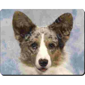 Pembroke Corgi Muismat
