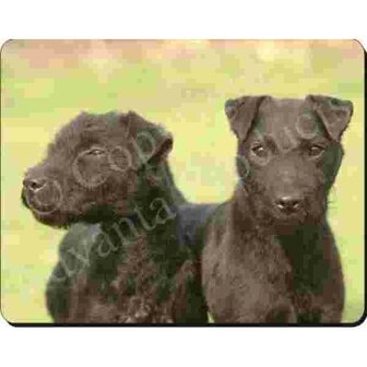 Patterdale Terrier Muismat