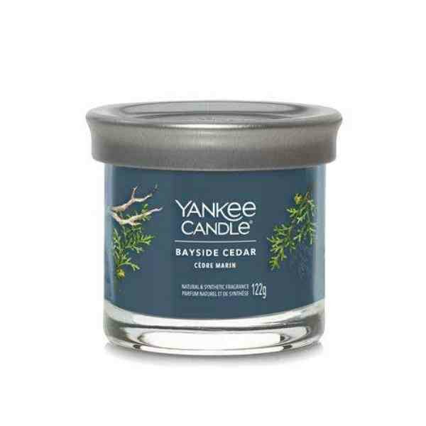 Yankee Candle  Bayside Cedar Signature Small Tumbler