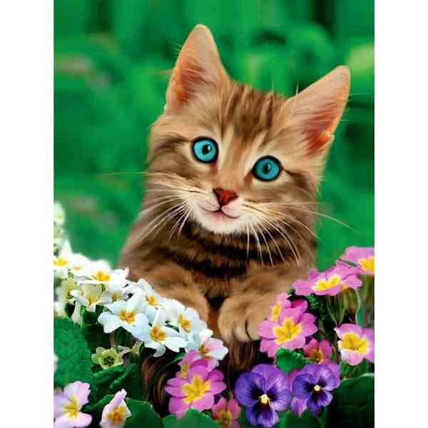 Diamond painting op kader &quot;Lovely eyes&quot; 30x40 cm