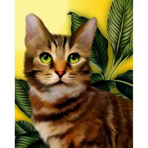 Diamond painting op kader &quot;Green-eyed kitten&quot; 40x50 cm