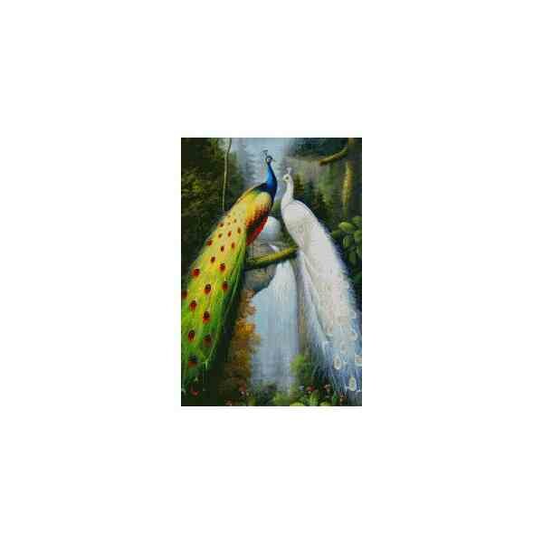 Diamond painting kit Peacocks / Pauwen 50 x 75 cm vierkante steentjes