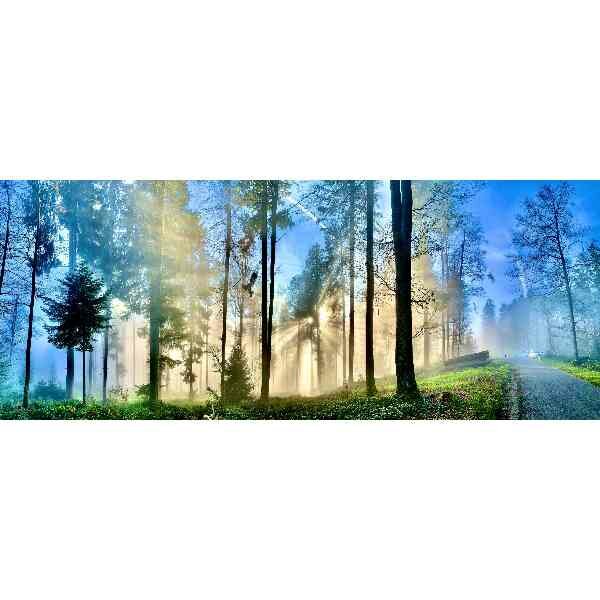 Diamond Painting Bosweg- 100 x 40 cm