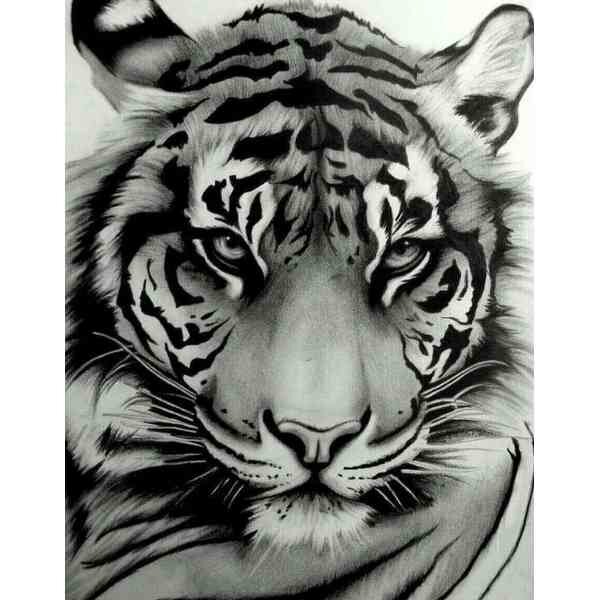 Diamond Painting Wise Look   50 x40  cm  ronde steentjes met kader