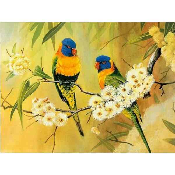2 vogels 50 x 50 vierkante  steentjes