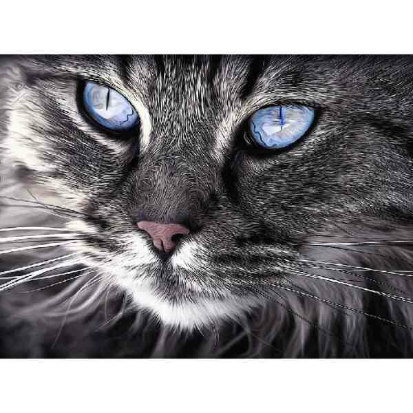 Diamond Painting ,Kat . 80 x 55xcm, 80 kleuren Vierkante  Steentjes