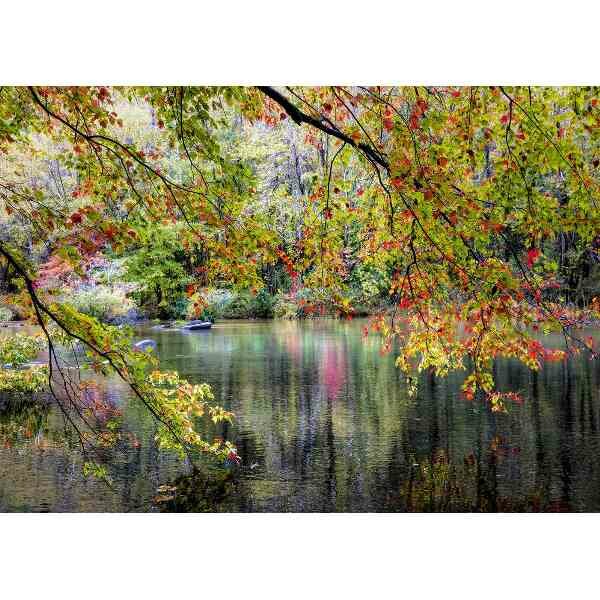 Branches On the Edge of the River   Puzzel 1000 stukjes