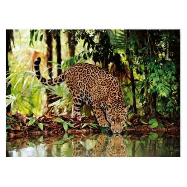 The Leopard - Puzzel 2000 stukjes
