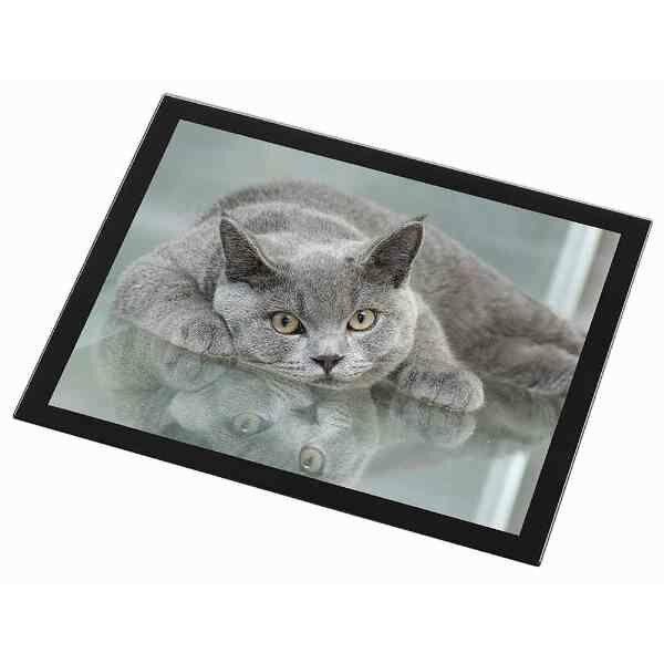 Britse Korthaar Glazen Placemat met zwarte rand