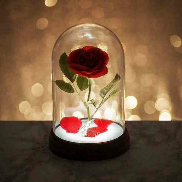 Paladone Lamp Disney Belle En Het Beest 15 X 15 X 20 Cm Rood