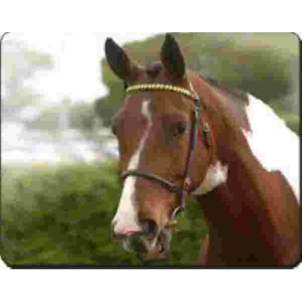 Bruin Wit Paard Muismat