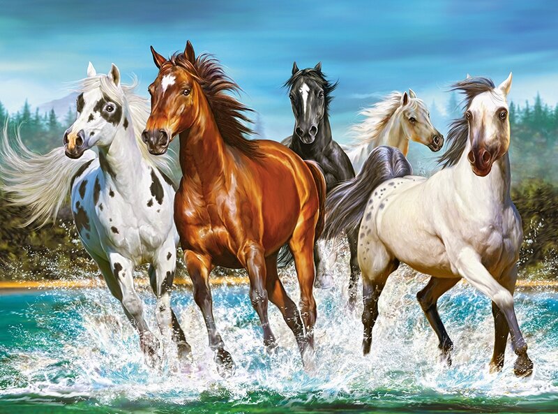 Castorland Call of Nature Puzzel 2000 stukjes