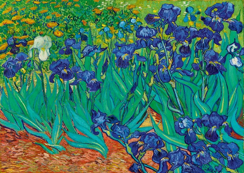 Vincent Van Gogh - Irises, 1889 - Puzzel - 1000 Stukjes