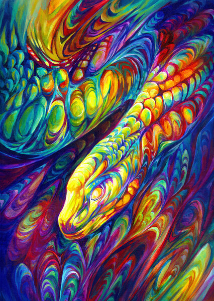 Rainbow Snake - Puzzel - 1000  Stukjes
