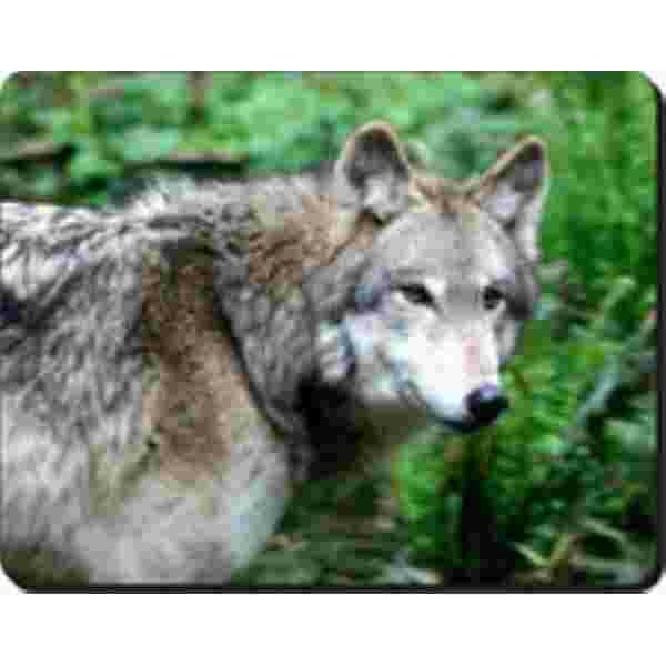 Wolf Muismat