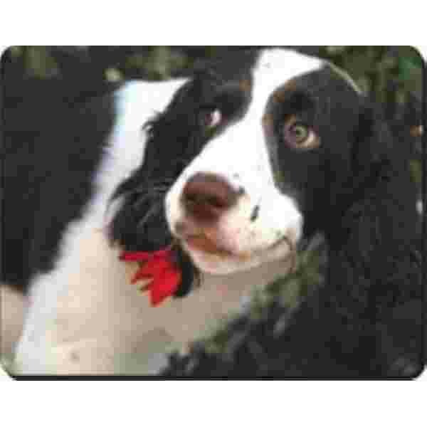 Muismat Springer spaniel met bloem Advanta