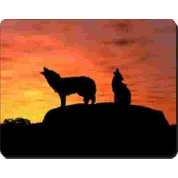 Wolven zonsondergang Muismat