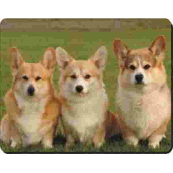 3 Corgis Muismat