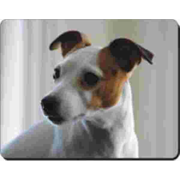 Muismat Jack rusell Beige Achtergrond Advanta