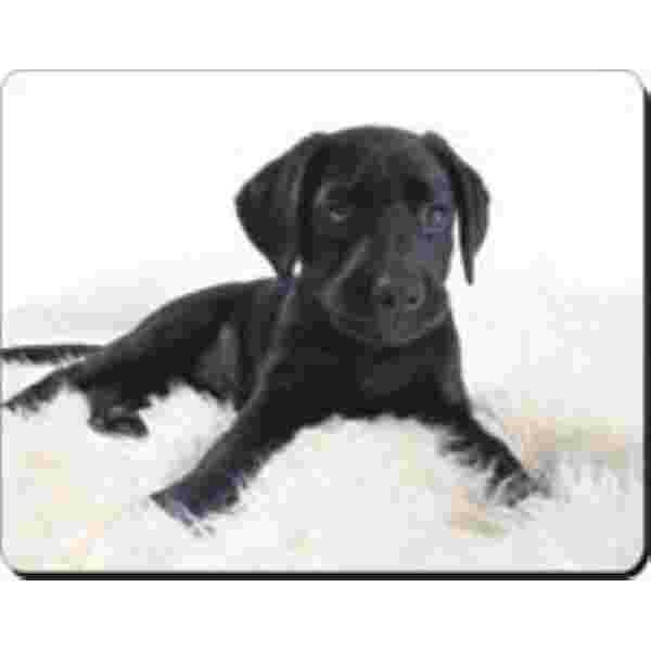Muismat Pup Labrador Zwart advanta