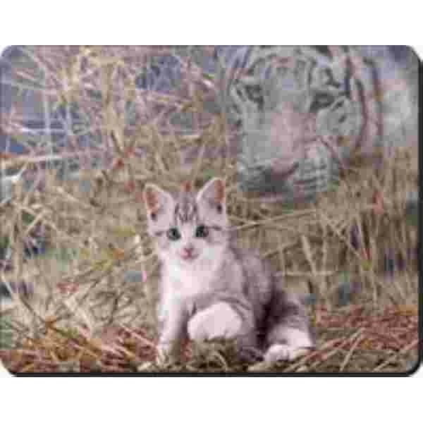 Spirit kat zilveren tabby + tijger in stro Muismat