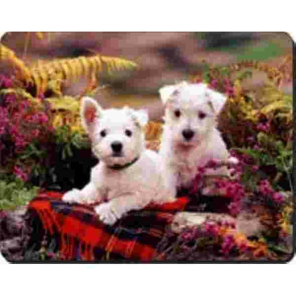 2 west highland Terriers schots Muismat