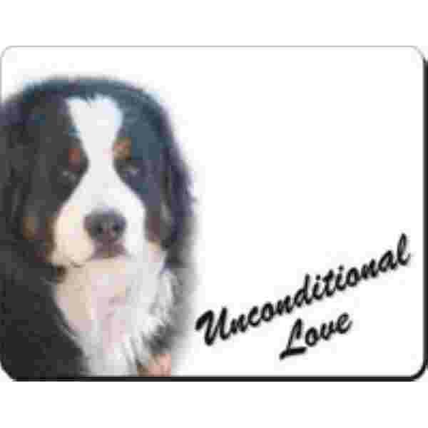Sint Bernard Close up (Uncondinional Love) Muismat