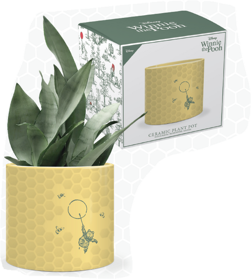 DISNEY - Winnie The Pooh &quot; Honeycomb &quot; - Plant Pot