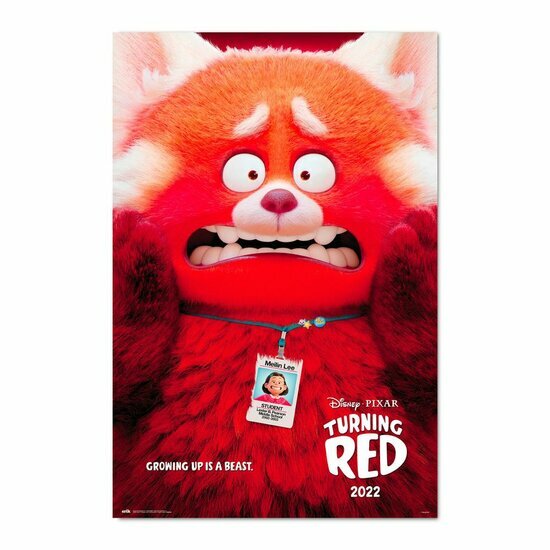 PIXAR - Turning Red - Poster 61x91cm