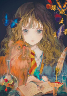 HARRY POTTER - Carnet - Hermione Granger