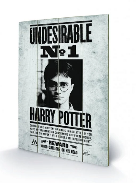 HARRY POTTER - Printing on wood 40X59 - Undesirable N? 1