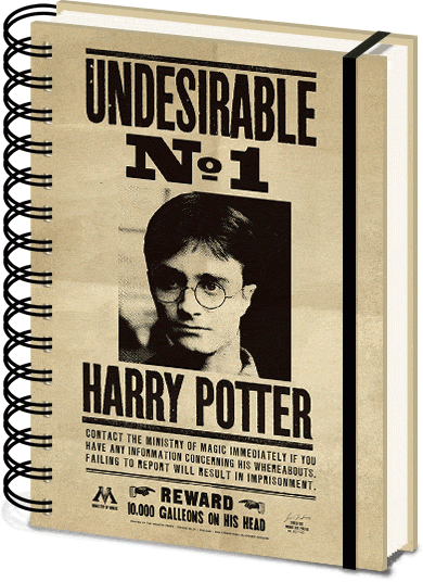 HARRY POTTER - Sirius &amp; Harry - Notebook A5 3D