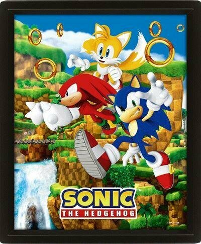 SONIC - Catching Rings - 3D Lenticular Poster 26x20cm