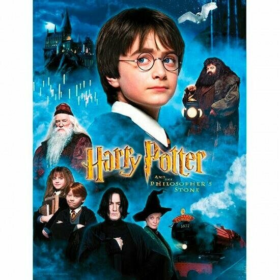 HARRY POTTER - GLASS PRINT - Philosopher&#039;s Stone - 30X40 Cm
