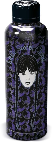 WEDNESDAY - Stainless Steel Insulated Bottle - 515ml