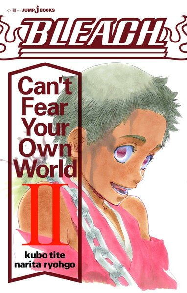 BLEACH - Can&#039;t Fear Your Own World - Roman - Tome 2