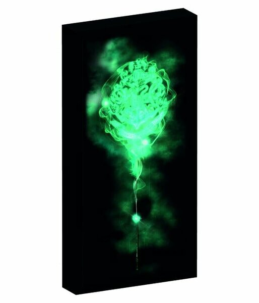 HARRY POTTER - Canvas with 6 LED light 20X3X40cm