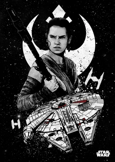 STAR WARS PILOTS - Magnetic Metal Poster 45x32 - Rei