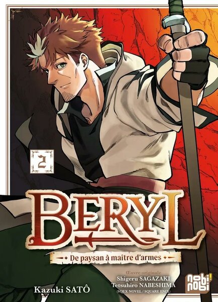 BERYL - DE PAYSAN A MAITRE D&#039;ARMES - Tome 2