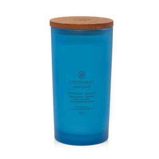 Chesapeake Bay Candle Confidence &amp; Freedom &ndash; Oak Moss Amber Large Candle