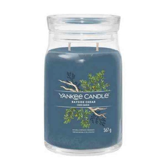 Yankee Candle  Bayside Cedar Signature Large Jar