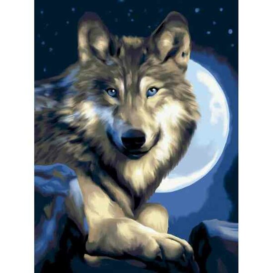 Diamond painting op kader &quot;Moon wanderer&quot; 30x40 cm