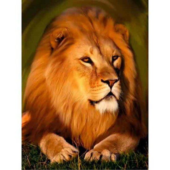 Diamond painting op kader &quot;Majestic lion&quot; 30x40 cm