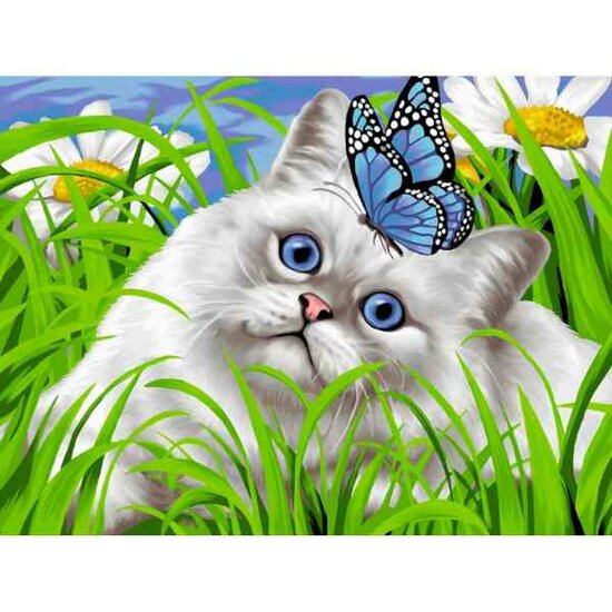 Diamond painting op kader Blue eyes 30 x 40 cm