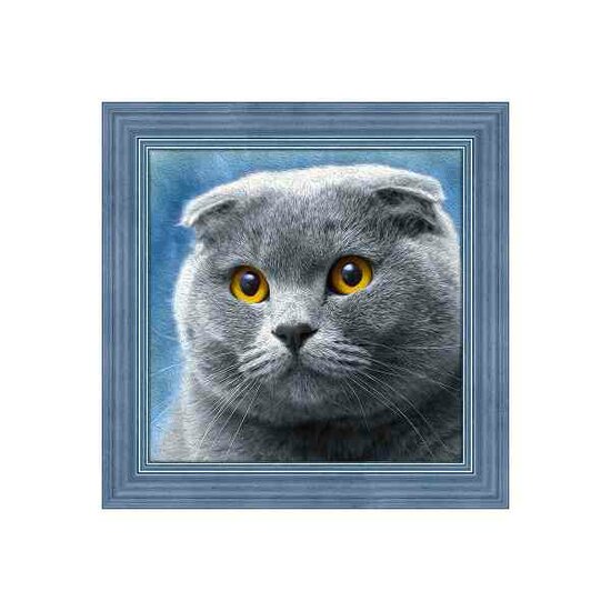 Diamond Painting Cat 25x25cm vierkante steentjes