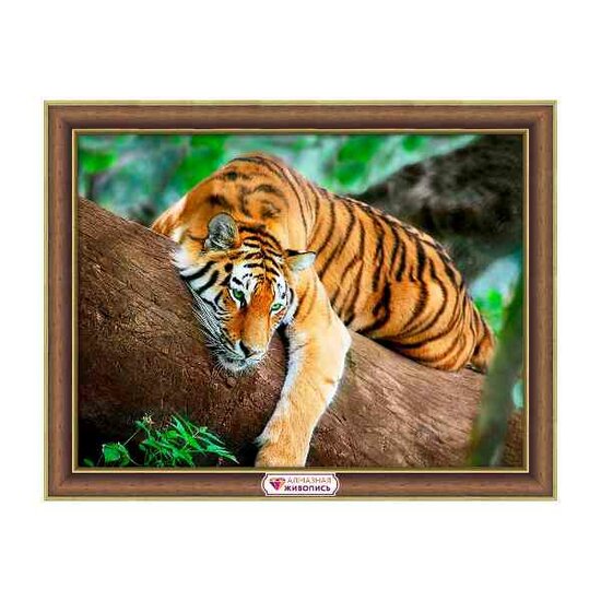 Diamond Painting Tiger on the tree 40x30 cm vierkante steentjes