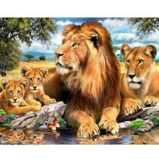 Diamond Painting   leeuwen   50x40 vierkante steentjes